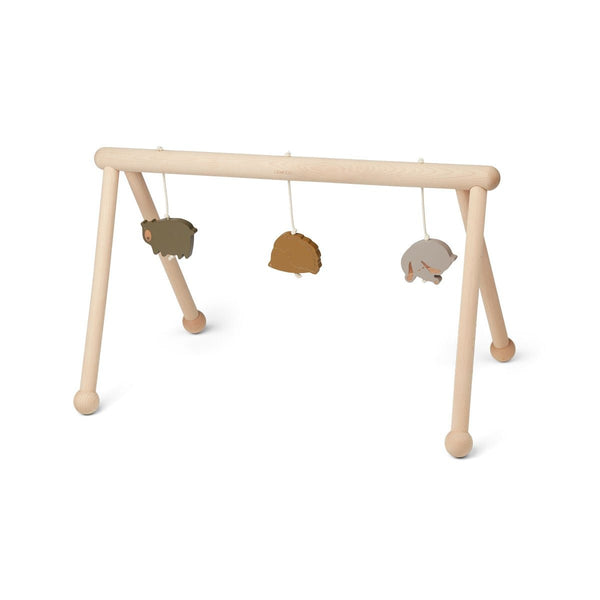 GINÁSIO COM BRINQUEDOS