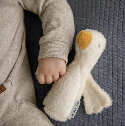 ROCA GANSO COM GUISO