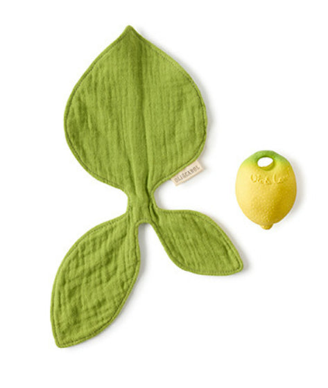 MORDEDOR COM MUSSELINA