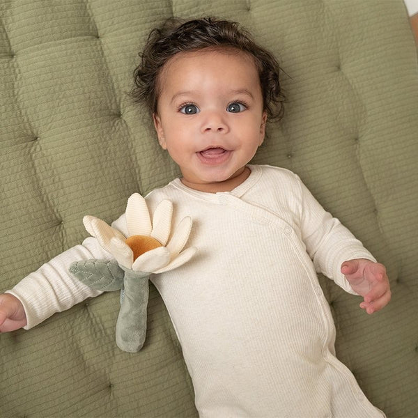 ROCA FLOR - LITTLE FARM