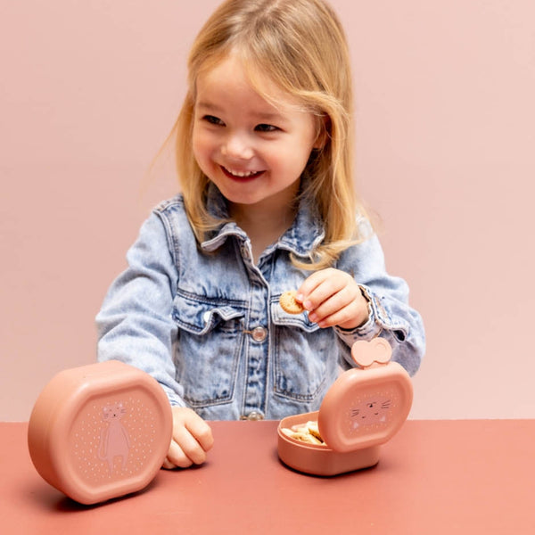 Conjunto de 2 marmitas com clip para crianças, leves e fáceis de abrir, ideais para transportar snacks para a escola, passeios e viagens. Mr Cat
