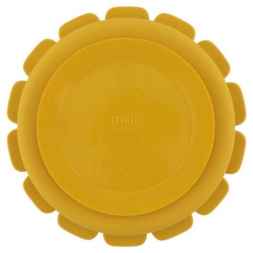 PRATO COM DIVISÓRIAS E VENTOSA DE SILICONE