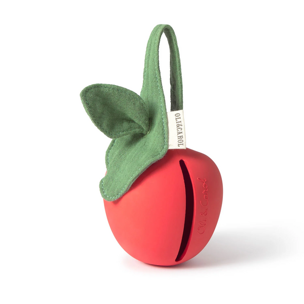 Pacifier holder
