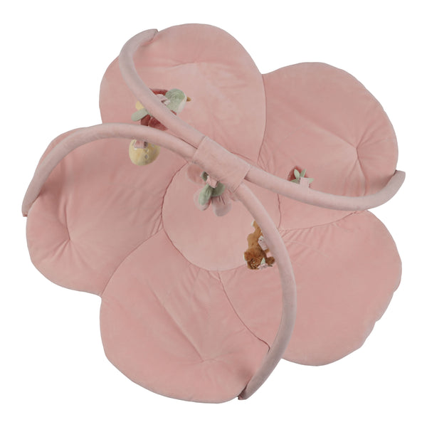 GINÁSIO DE ATIVIDADES COM TAPETE