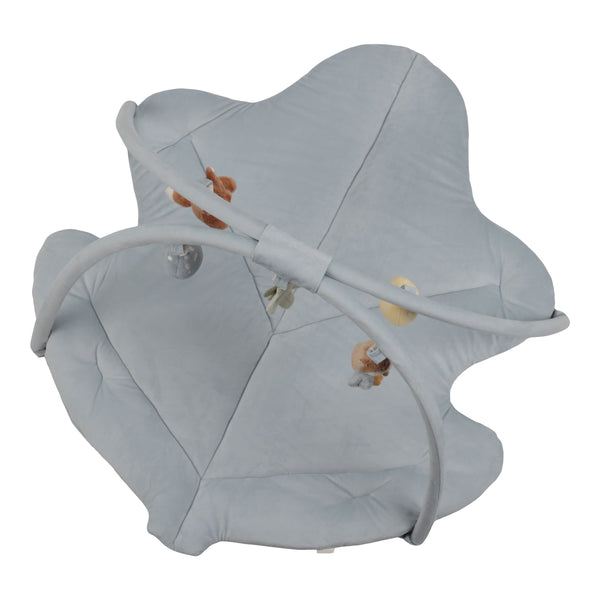 GINÁSIO DE ATIVIDADES COM TAPETE