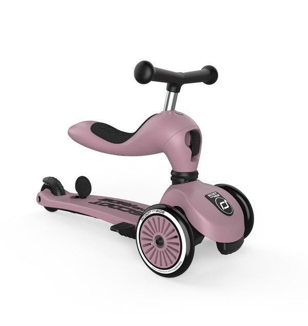 TROTINETE EVOLUTIVA PUSH & GO