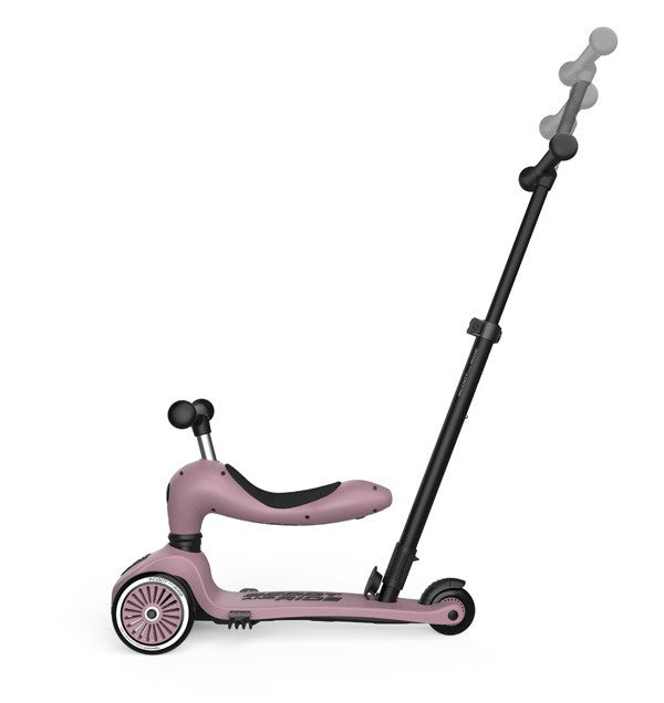 TROTINETE EVOLUTIVA PUSH & GO