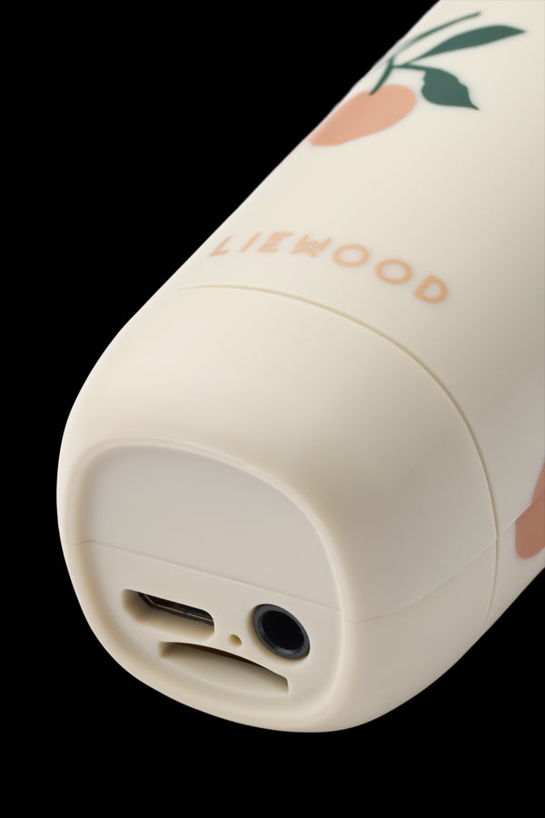 MICROFONE DE KARAOKE