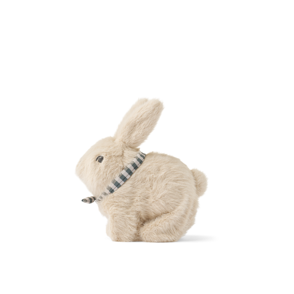 PELUCHE ELECTRÓNICO