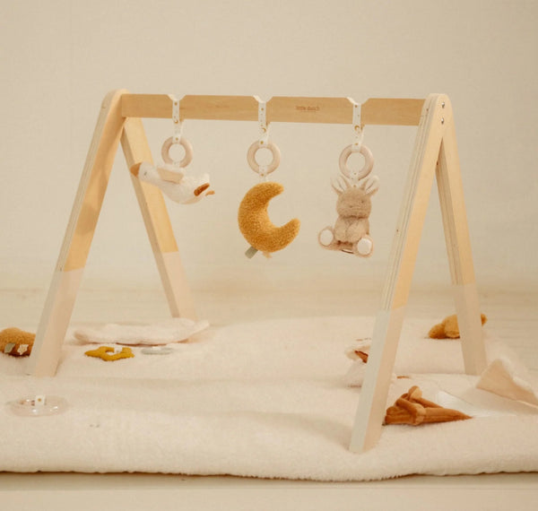 GINÁSIO DE ATIVIDADES