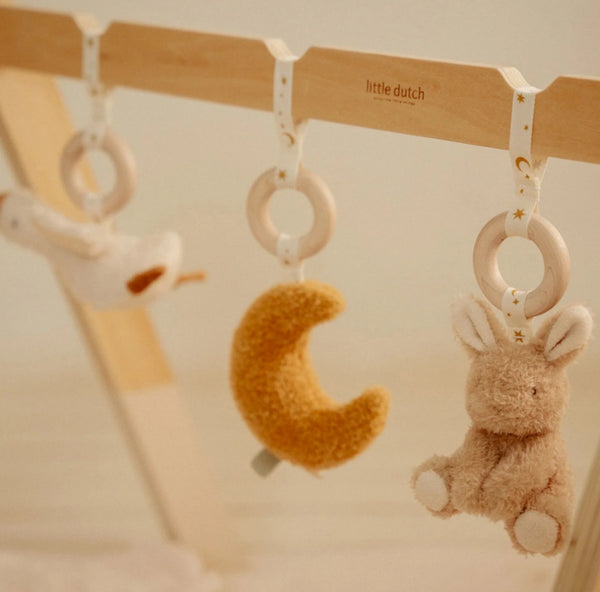 GINÁSIO DE ATIVIDADES