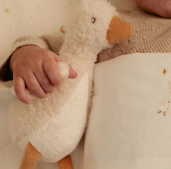 COELHO DE ATIVIDADES