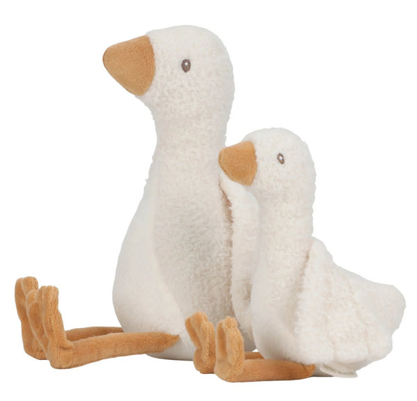 COELHO DE ATIVIDADES