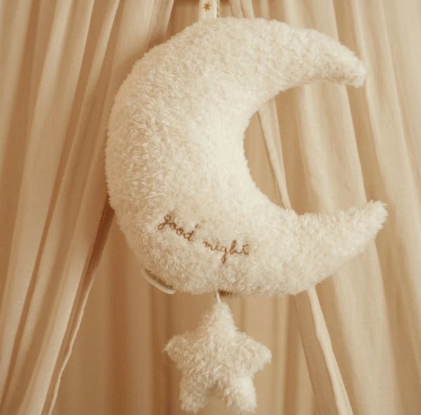 CAIXA DE MÚSICA GANSO