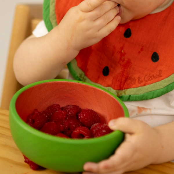 CONJUNTO DE ALIMENTAÇÃO DE MADEIRA