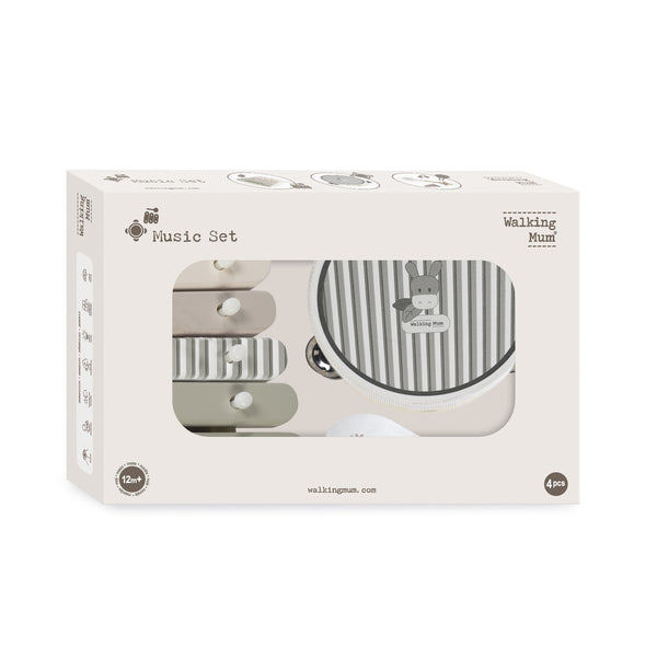 CONJUNTO DE INSTRUMENTOS MUSICAIS