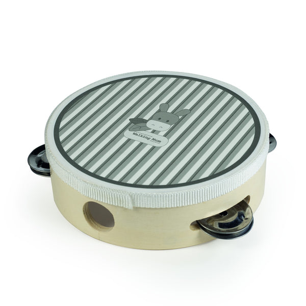 CONJUNTO DE INSTRUMENTOS MUSICAIS