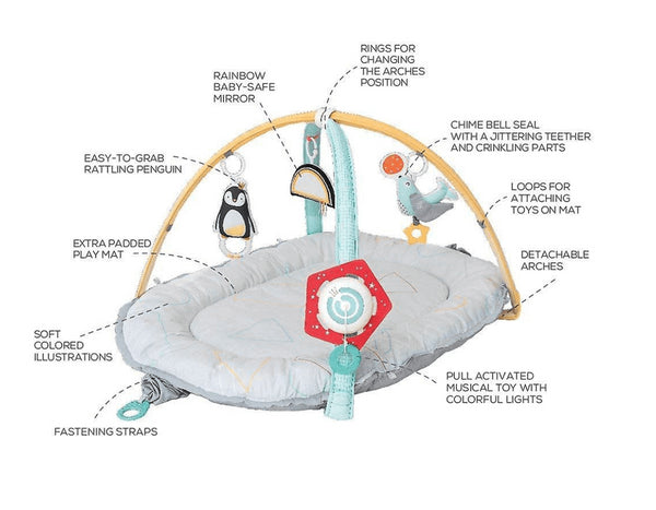 GINÁSIO MUSICAL PORTÁTIL