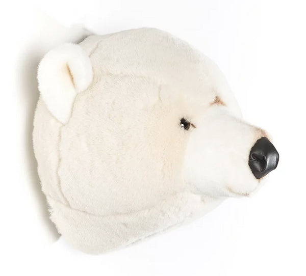 URSO POLAR