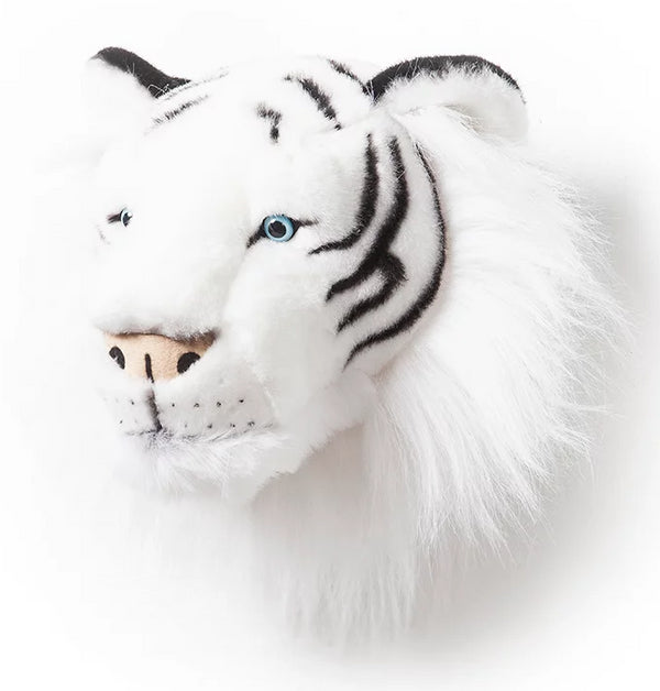 TIGRE BRANCO