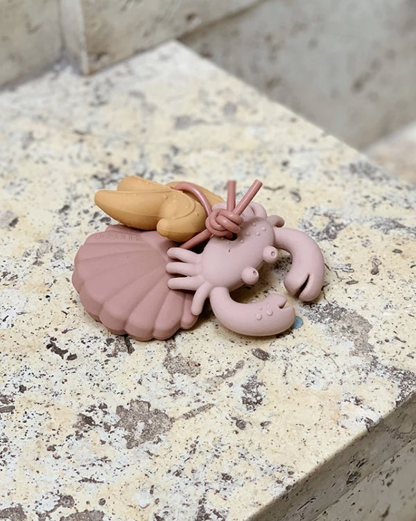 3 MORDEDORES - ROSE MULTI MIX