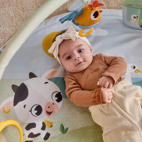 Ginásio Dinâmico tiny love farmers em utilização
