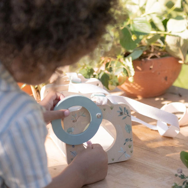 Caixa de observação de insetos da little dutch em madeira