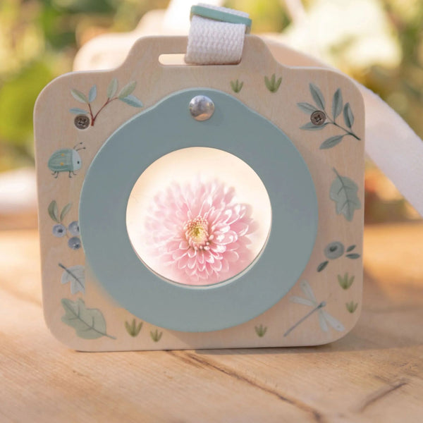 CAIXA DE OBSERVAÇÃO DE INSETOS