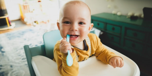 A Importância da Cadeira da Papa