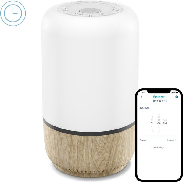 LUZ PRESENÇA E SOM MAXI