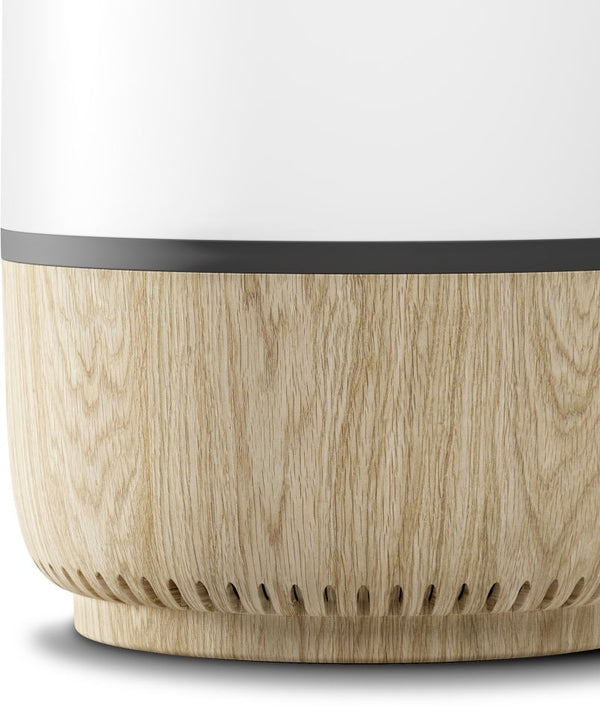 LUZ PRESENÇA E SOM MAXI