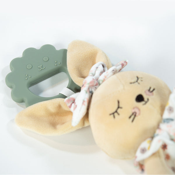 COELHO PASITO COM MORDEDOR