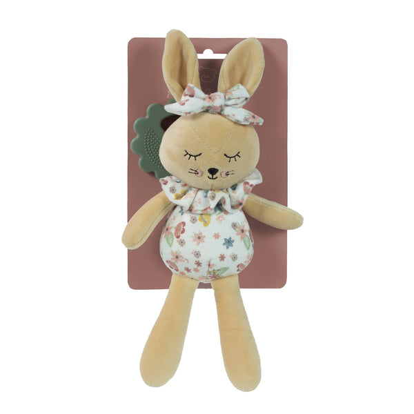 COELHO PASITO COM MORDEDOR