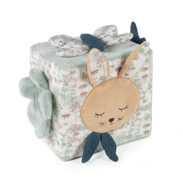 CUBO DE ATIVIDADES PASITO