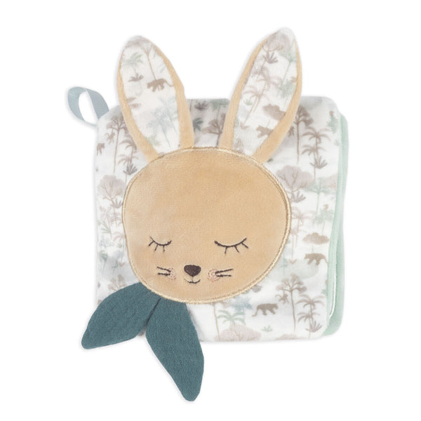 LIVRO DE ATIVIDADES PASITO