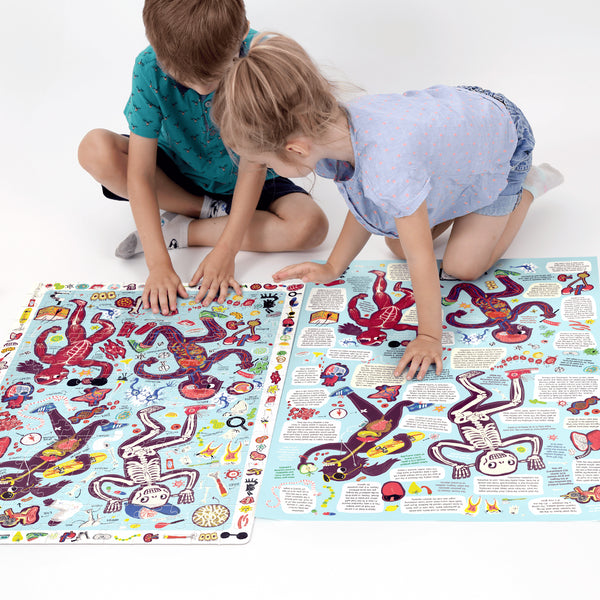 PUZZLE DE OBSERVAÇÃO 60 PEÇAS