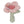 ROCA FLOR COM GUISO
