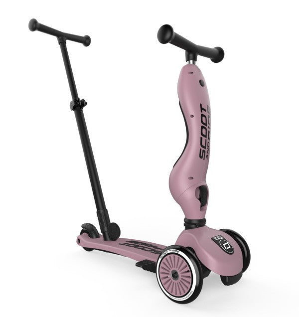 TROTINETE EVOLUTIVA PUSH & GO