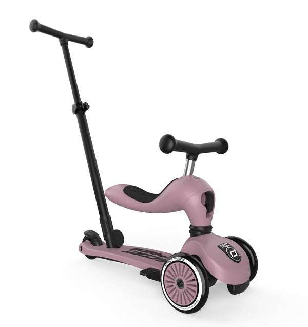 TROTINETE EVOLUTIVA PUSH & GO