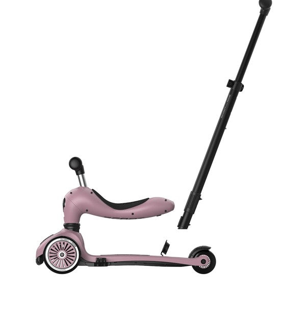 TROTINETE EVOLUTIVA PUSH & GO