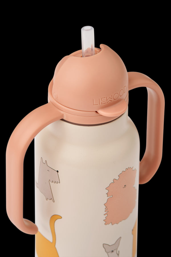 GARRAFA TÉRMICA 250ML