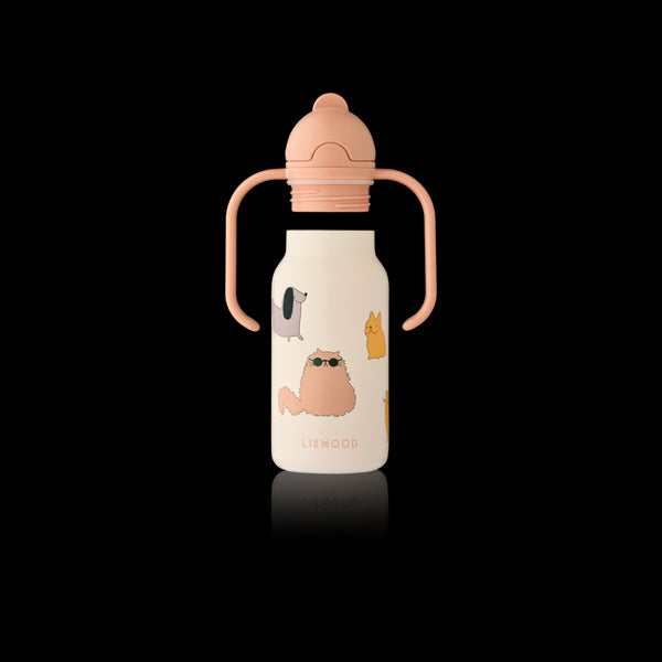 GARRAFA TÉRMICA 250ML