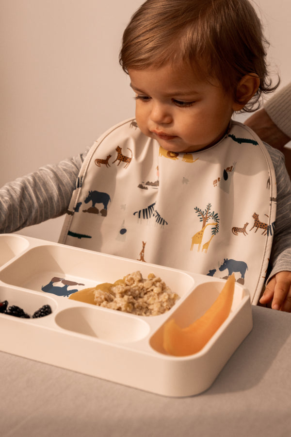 PRATO COM DIVISÓRIAS