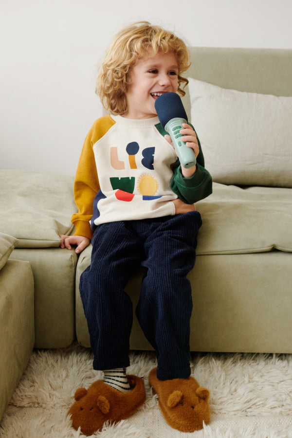 MICROFONE DE KARAOKE