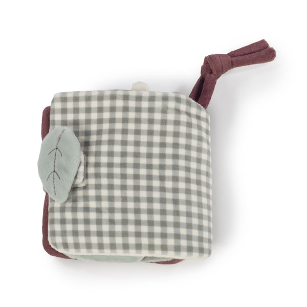 LIVRO DE ATIVIDADES LION GALA