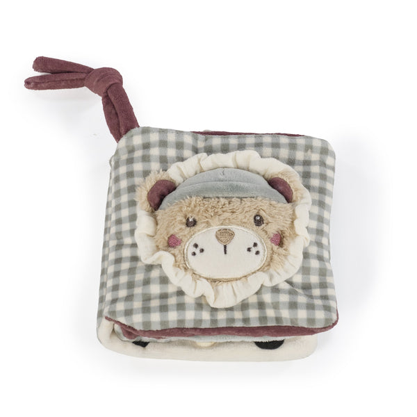 LIVRO DE ATIVIDADES LION GALA