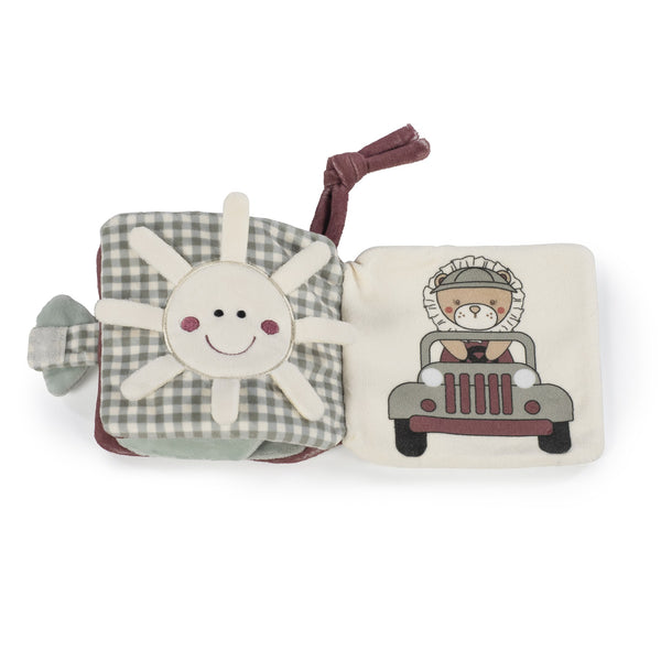 LIVRO DE ATIVIDADES LION GALA