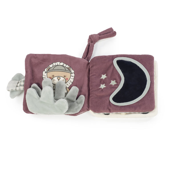 LIVRO DE ATIVIDADES LION GALA