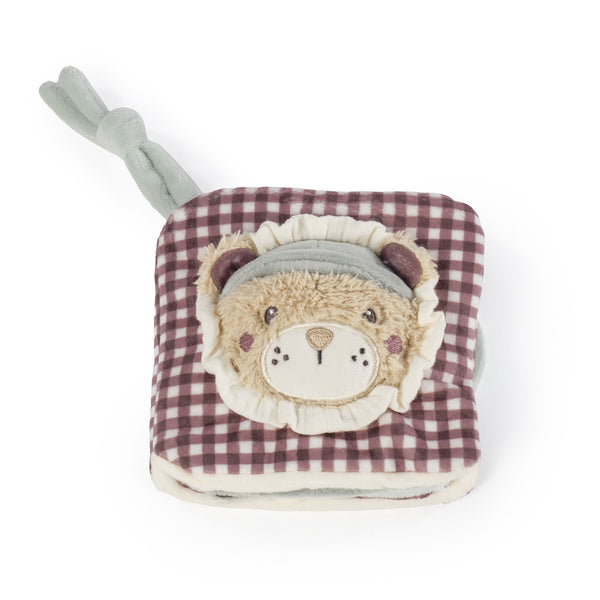 LIVRO DE ATIVIDADES LION GALA