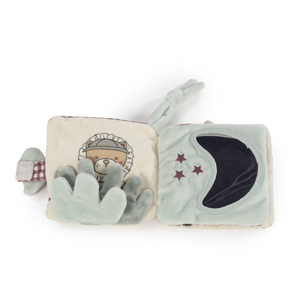 LIVRO DE ATIVIDADES LION GALA